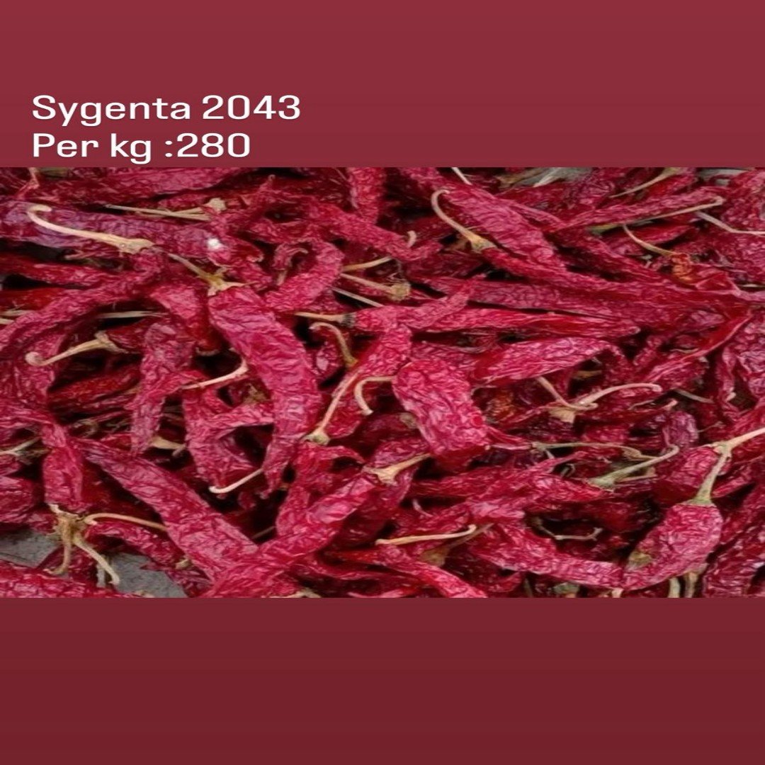 Teja S17 Dry Red Chilli